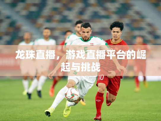 龙珠直播，游戏直播平台的崛起与挑战
