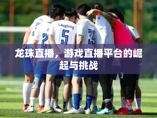 龙珠直播，游戏直播平台的崛起与挑战