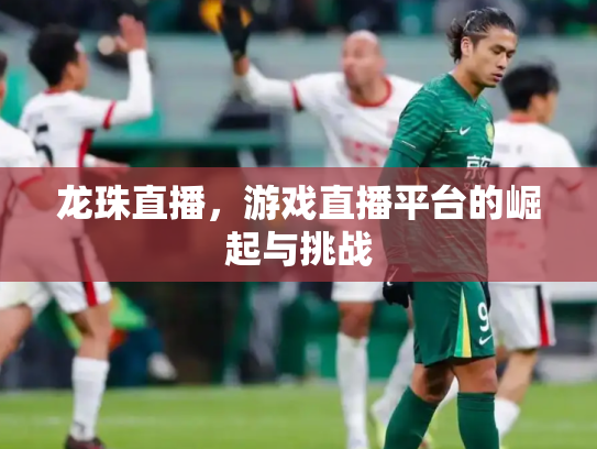 龙珠直播，游戏直播平台的崛起与挑战