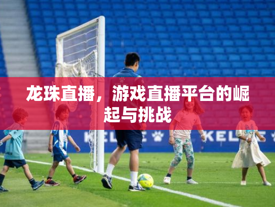 龙珠直播，游戏直播平台的崛起与挑战