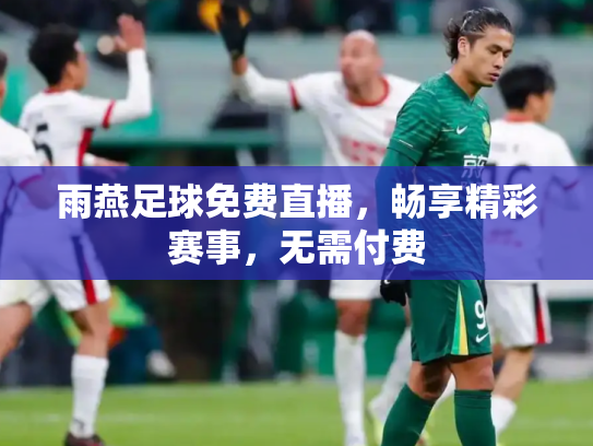 雨燕足球免费直播，畅享精彩赛事，无需付费