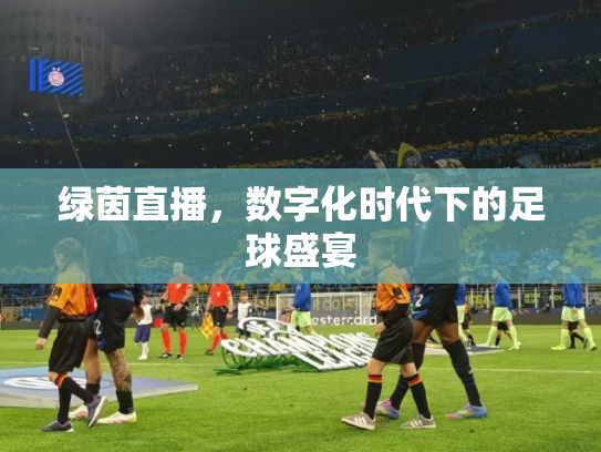 绿茵直播，数字化时代下的足球盛宴