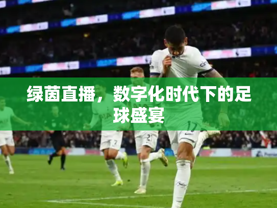 绿茵直播，数字化时代下的足球盛宴