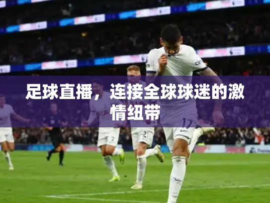 足球直播，连接全球球迷的激情纽带