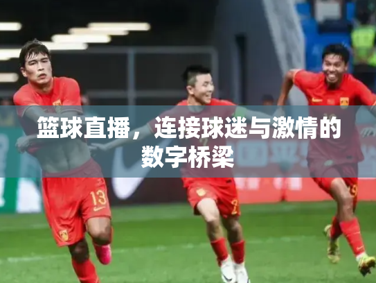 篮球直播，连接球迷与激情的数字桥梁