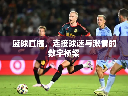 篮球直播，连接球迷与激情的数字桥梁