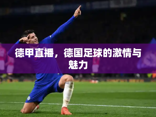 德甲直播，德国足球的激情与魅力
