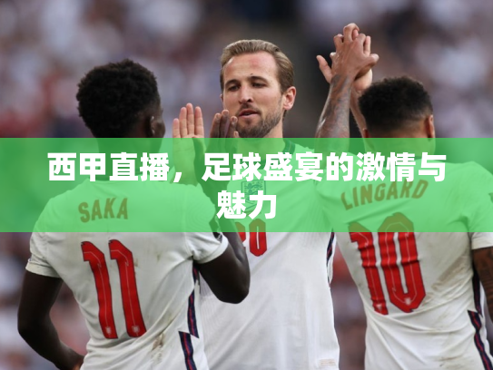 西甲直播，足球盛宴的激情与魅力