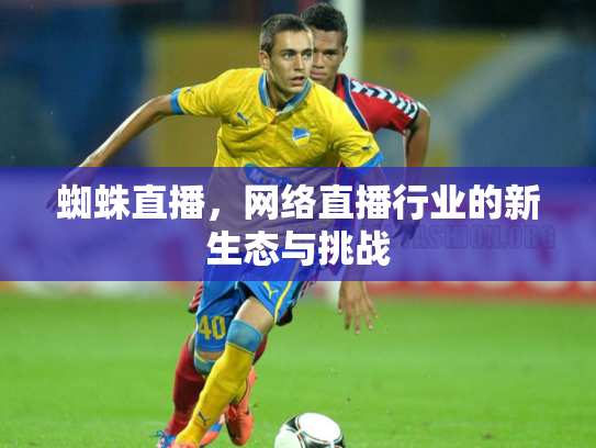蜘蛛直播，网络直播行业的新生态与挑战