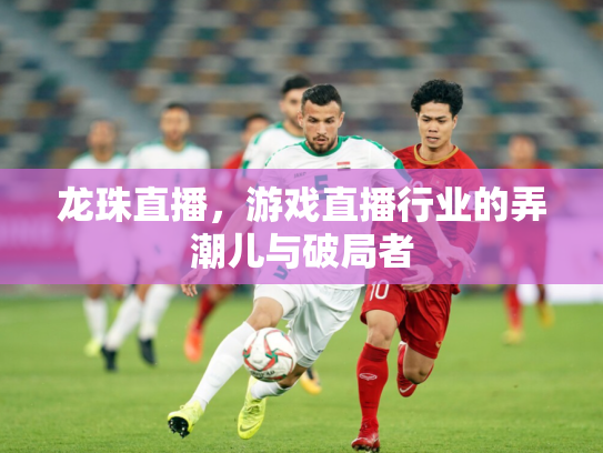 龙珠直播，游戏直播行业的弄潮儿与破局者