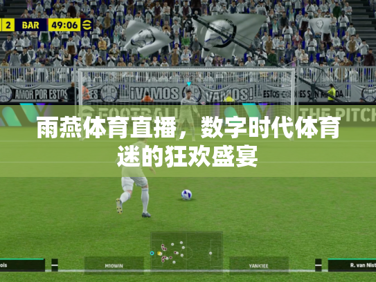 雨燕体育直播，数字时代体育迷的狂欢盛宴