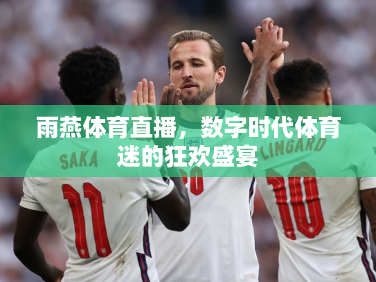 雨燕体育直播，数字时代体育迷的狂欢盛宴