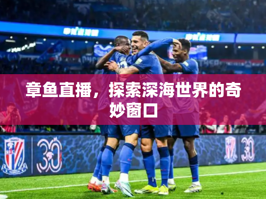 章鱼直播，探索深海世界的奇妙窗口
