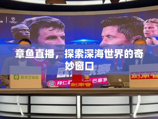 章鱼直播，探索深海世界的奇妙窗口