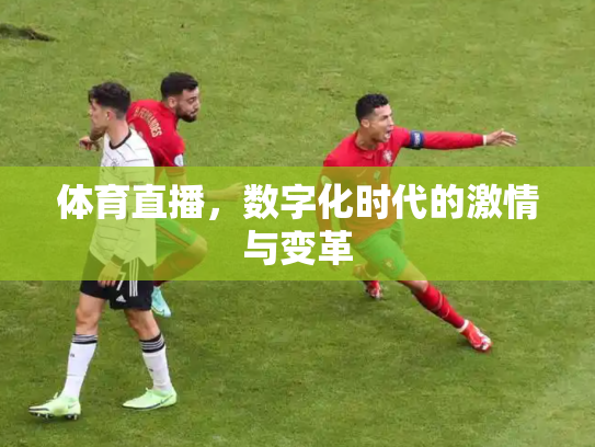 体育直播，数字化时代的激情与变革