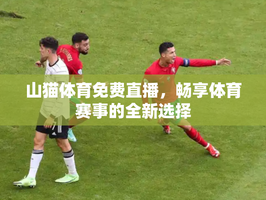 山猫体育免费直播，畅享体育赛事的全新选择