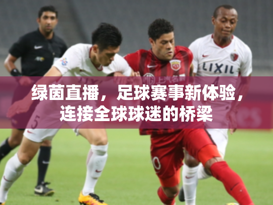 绿茵直播，足球赛事新体验，连接全球球迷的桥梁