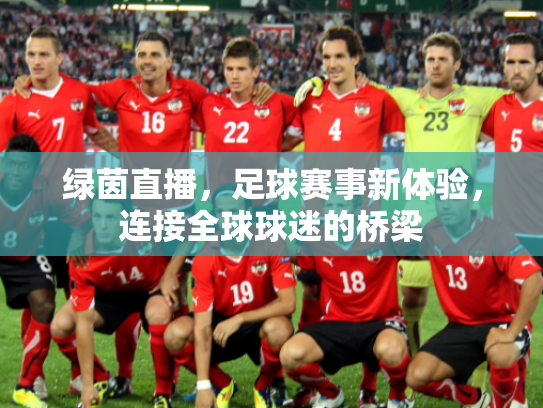 绿茵直播，足球赛事新体验，连接全球球迷的桥梁