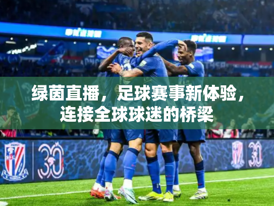 绿茵直播，足球赛事新体验，连接全球球迷的桥梁