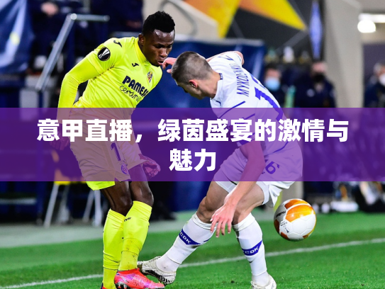 意甲直播，绿茵盛宴的激情与魅力