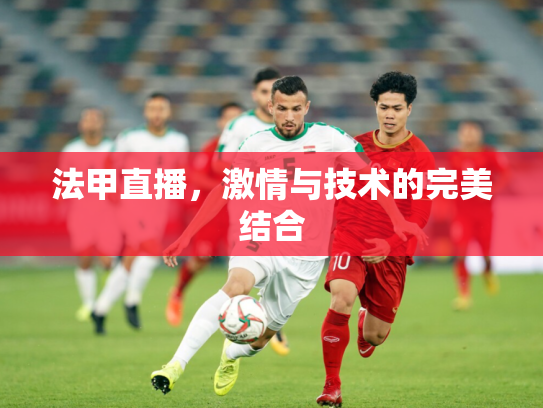 法甲直播，激情与技术的完美结合