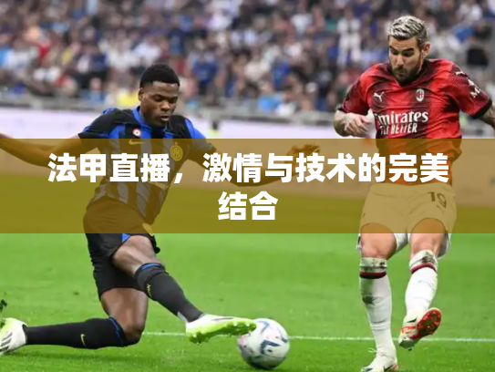法甲直播，激情与技术的完美结合