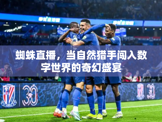 蜘蛛直播，当自然猎手闯入数字世界的奇幻盛宴