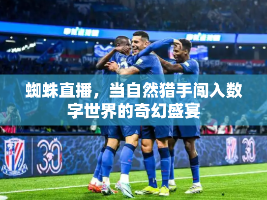 蜘蛛直播，当自然猎手闯入数字世界的奇幻盛宴