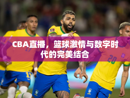 CBA直播，篮球激情与数字时代的完美结合