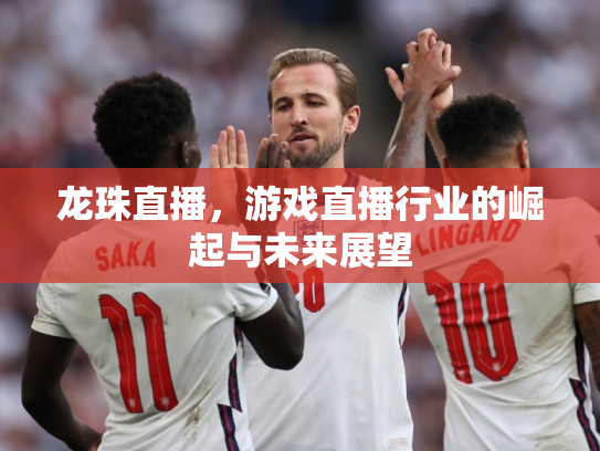 龙珠直播，游戏直播行业的崛起与未来展望