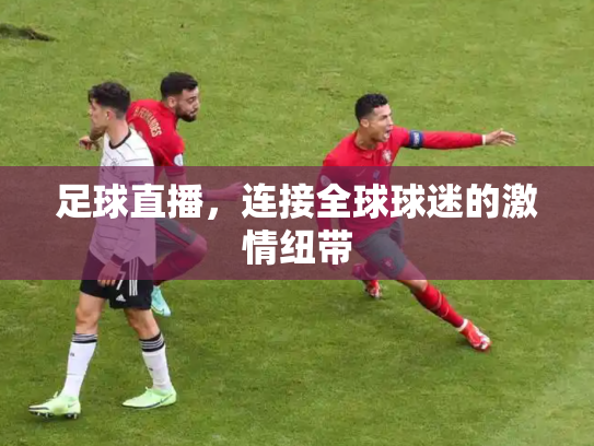 足球直播，连接全球球迷的激情纽带