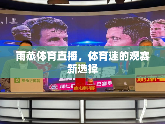 雨燕体育直播，体育迷的观赛新选择