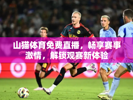 山猫体育免费直播，畅享赛事激情，解锁观赛新体验