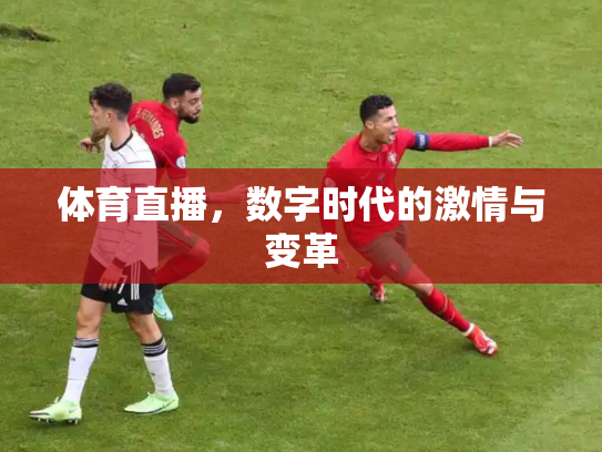 体育直播，数字时代的激情与变革