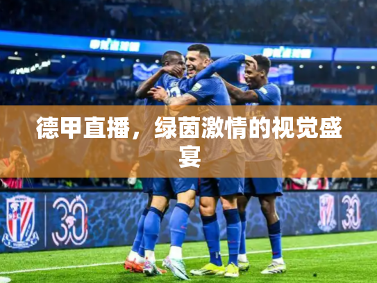 德甲直播，绿茵激情的视觉盛宴