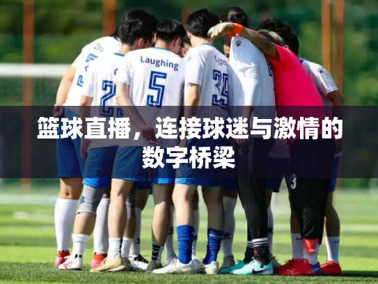 篮球直播，连接球迷与激情的数字桥梁
