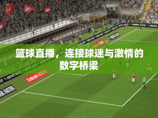 篮球直播，连接球迷与激情的数字桥梁