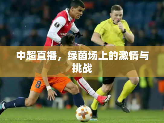 中超直播，绿茵场上的激情与挑战