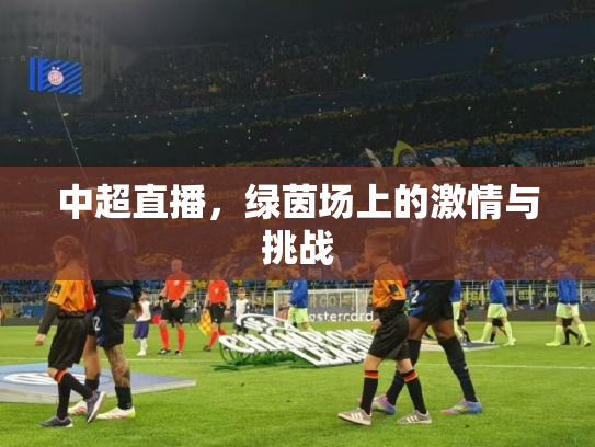 中超直播，绿茵场上的激情与挑战