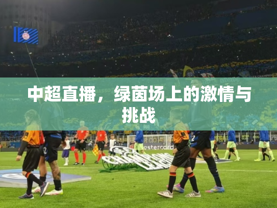 中超直播，绿茵场上的激情与挑战