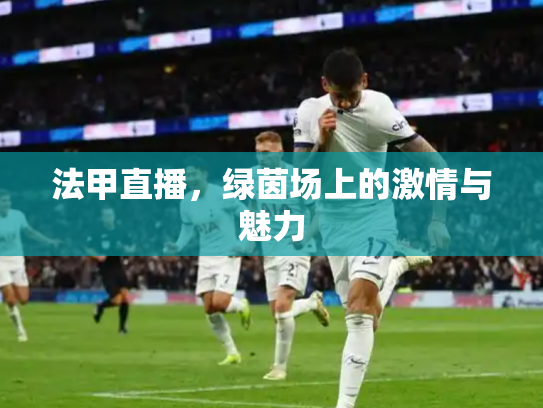 法甲直播，绿茵场上的激情与魅力