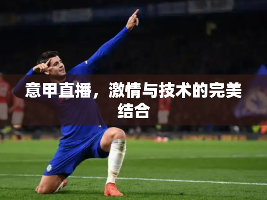 意甲直播，激情与技术的完美结合