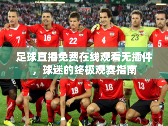 足球直播免费在线观看无插件，球迷的终极观赛指南