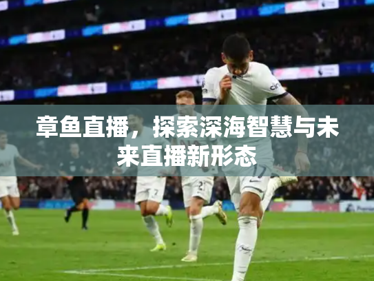 章鱼直播，探索深海智慧与未来直播新形态
