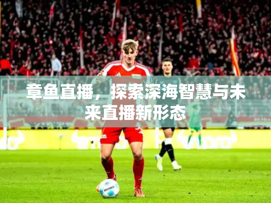 章鱼直播，探索深海智慧与未来直播新形态