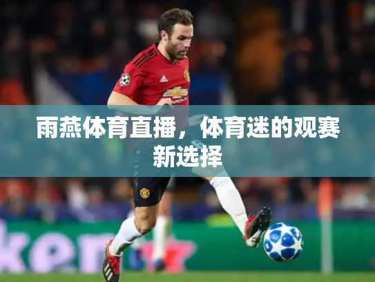 雨燕体育直播，体育迷的观赛新选择
