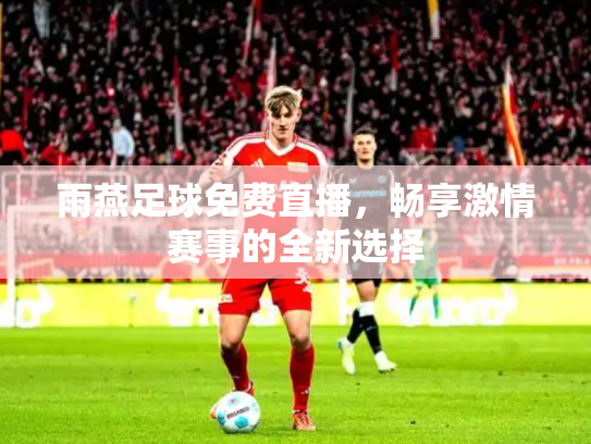 雨燕足球免费直播，畅享激情赛事的全新选择