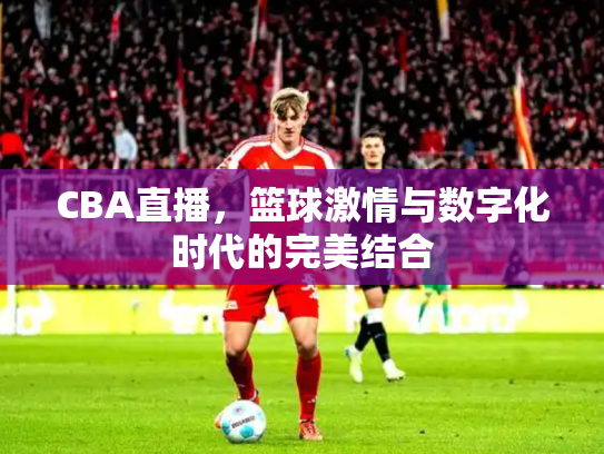 CBA直播，篮球激情与数字化时代的完美结合
