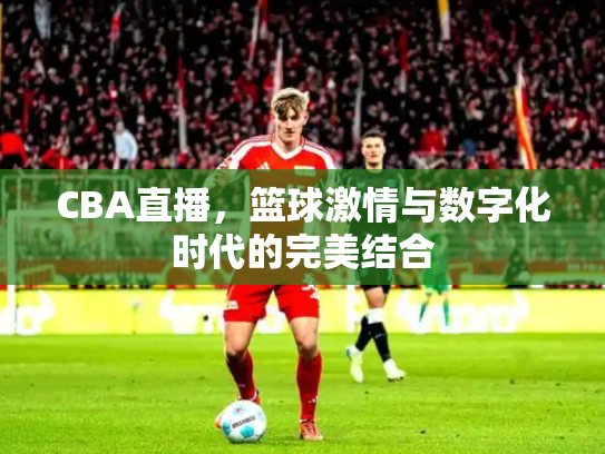 CBA直播，篮球激情与数字化时代的完美结合