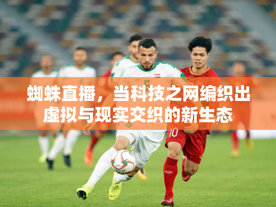 蜘蛛直播，当科技之网编织出虚拟与现实交织的新生态